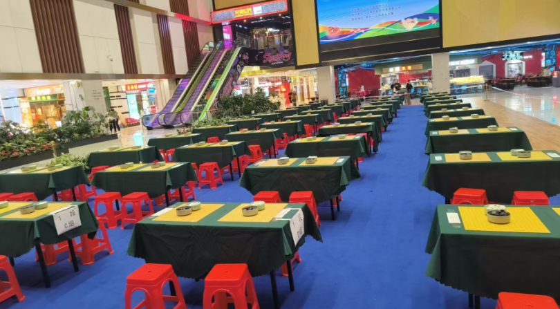 2025年“中兴杯”辽宁省围棋段级位赛（沈阳赛区）圆满落下帷幕！